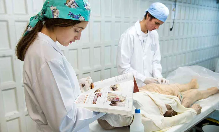 Cuánto gana un médico forense en Costa Rica